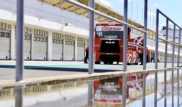 了不少球迷 了不少球迷